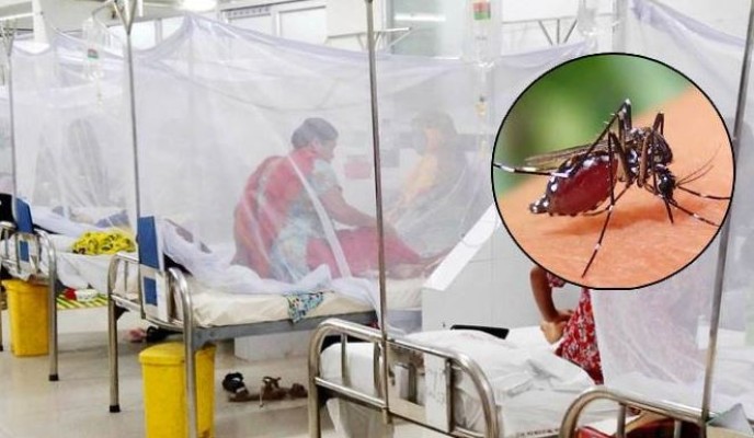 ২৪ ঘণ্টায় ডেঙ্গুতে আরও ৯ জনের মৃত্যু