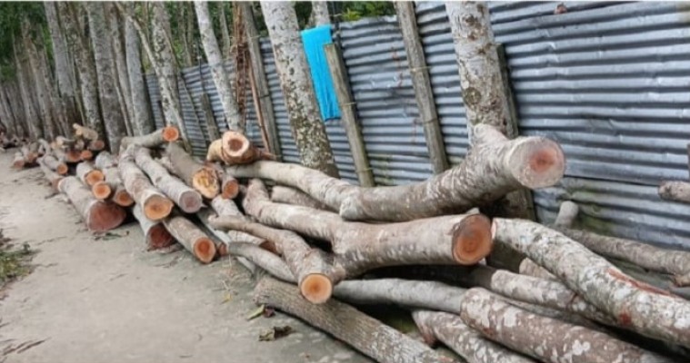 https://www.daily-bangladeshmirror.com/post/kumillay-obsrprapt-krrishi-krmkrtar-jmite-jorpuurwk-prbes-kre-hamla-stadhik-gach-krtn